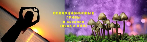 марихуана Абаза