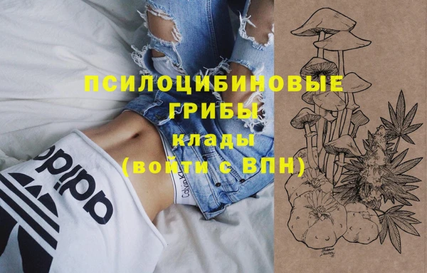 амфетамин Алексин